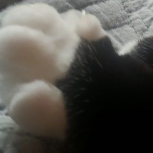 Meet your Posher, Diane